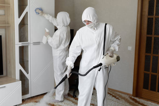 24/7 Emergency Odor Removal experts in Williamsport, MD
